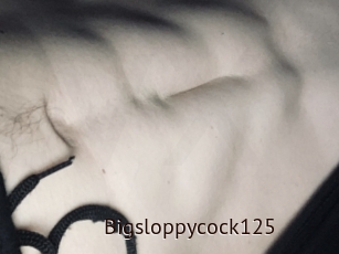 Bigsloppycock125