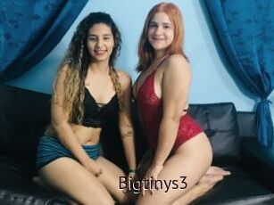 Bigtinys3