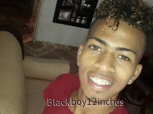 Blackboy12inches