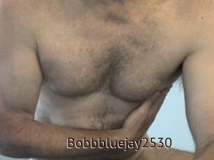 Bobbbluejay2530