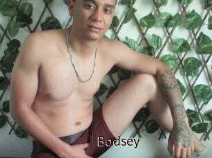Bodsey