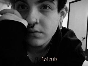 Boicub
