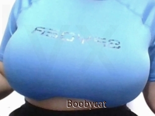 Boobycat