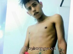 Boyhornysexy1