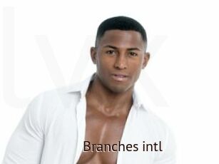 Branches_intl