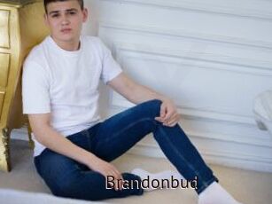 Brandonbud