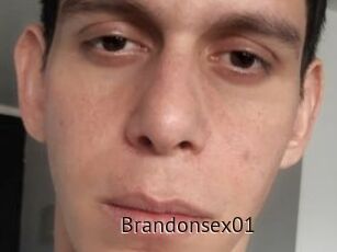 Brandonsex01