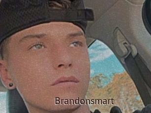 Brandonsmart