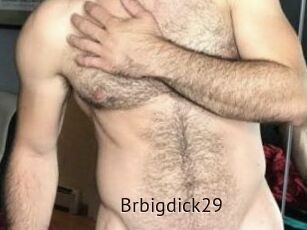 Brbigdick29