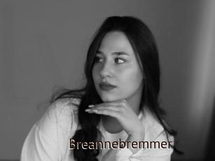 Breannebremmer