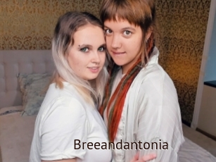 Breeandantonia