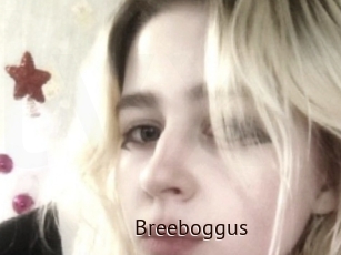 Breeboggus