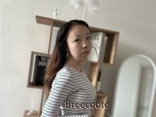 Breecoote