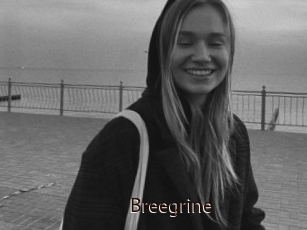 Breegrine
