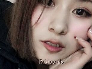 Bridgerils