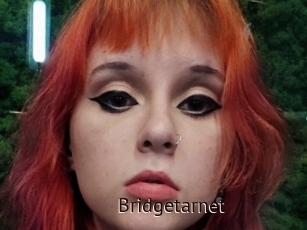 Bridgetarnet