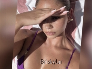 Briskylar