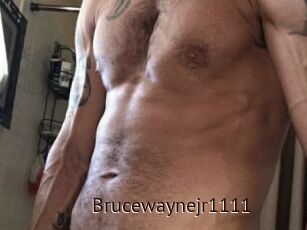 Brucewaynejr1111