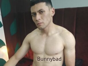 Bunnybad
