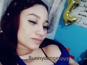 Bunnydangerous