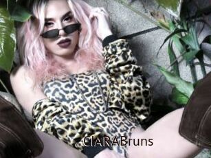 CIARABruns