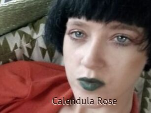 Calendula_Rose