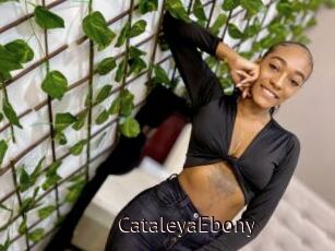 CataleyaEbony