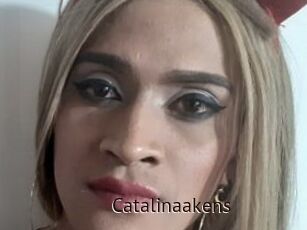 Catalinaakens