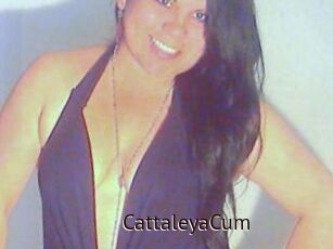 CattaleyaCum