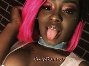 CocoBeanxo
