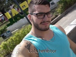 Calicheneitor