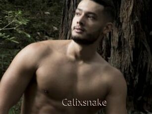 Calixsnake
