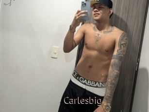 Carlesbig