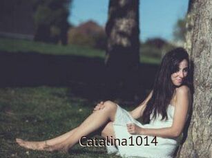 Catalina1014