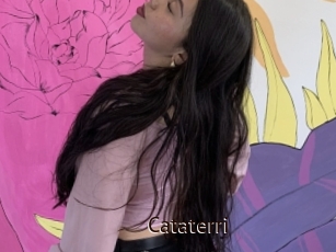 Cataterri