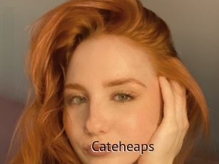 Cateheaps