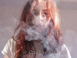 Cato_avocato