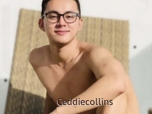 Ceddiecollins