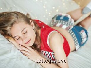 Collegedove