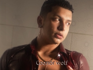 Coonor_wolf