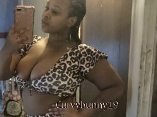 Curvybunny19