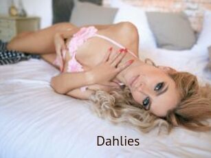 Dahlies