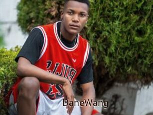 DaneWang