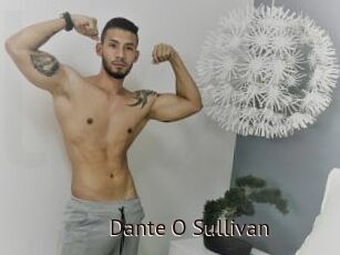 Dante_O_Sullivan