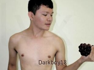 Darkboy18