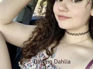 Darling_Dahlia