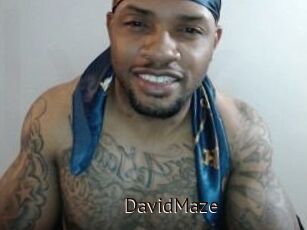 David_Maze