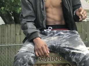 Day1DOG