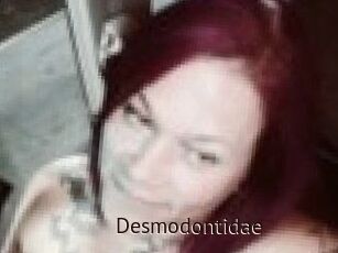 Desmodontidae