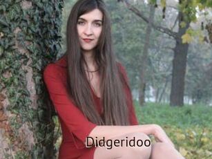 Didgeridoo
